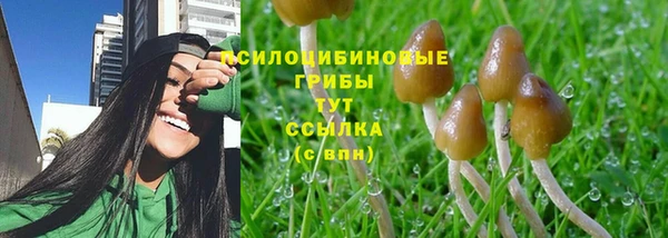 прущий лед Балабаново