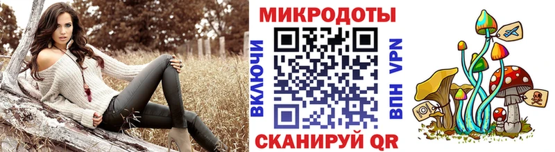 Псилоцибиновые грибы Psilocybine cubensis  Тихорецк 